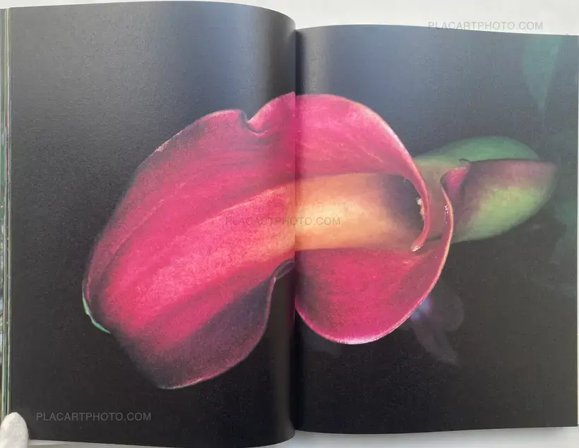 Nobuyoshi Araki – Kakyoku (Flower Rondo) (WITH OBI)