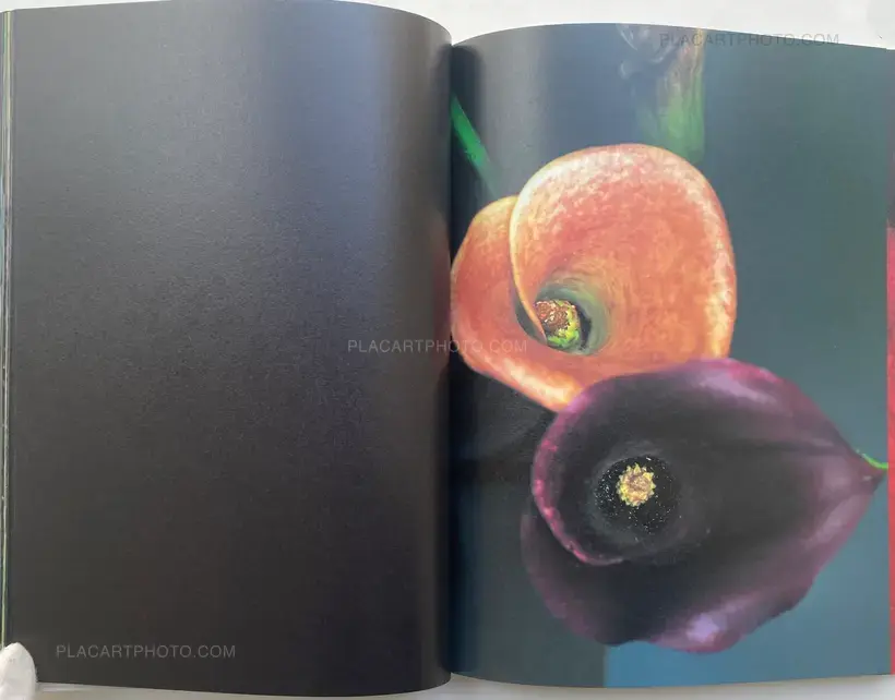 Nobuyoshi Araki – Kakyoku (Flower Rondo) (WITH OBI)