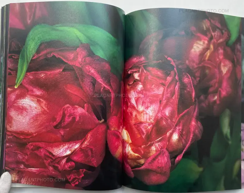 Nobuyoshi Araki – Kakyoku (Flower Rondo) (WITH OBI)