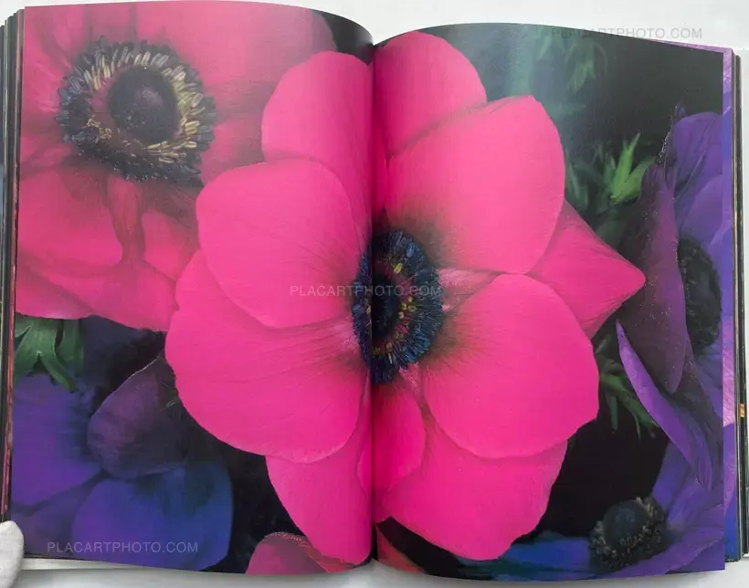 Nobuyoshi Araki – Kakyoku (Flower Rondo) (WITH OBI)