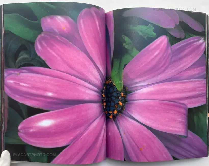 Nobuyoshi Araki – Kakyoku (Flower Rondo) (WITH OBI)