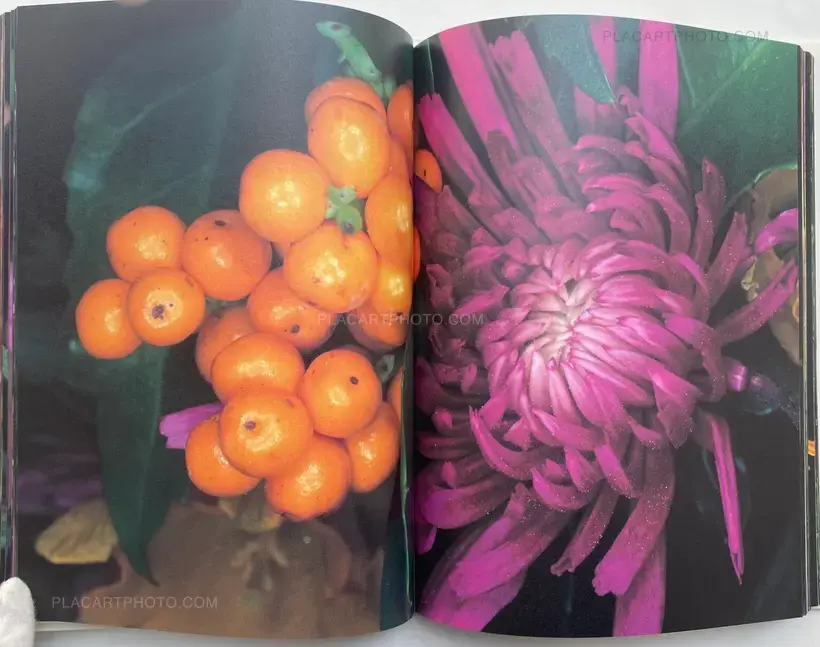 Nobuyoshi Araki – Kakyoku (Flower Rondo) (WITH OBI)