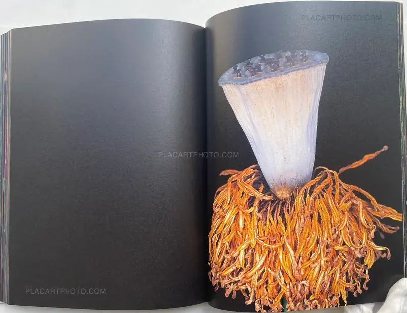 Nobuyoshi Araki – Kakyoku (Flower Rondo) (WITH OBI)
