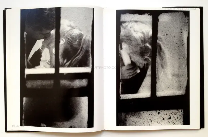 Merry Alpern – Dirty Windows