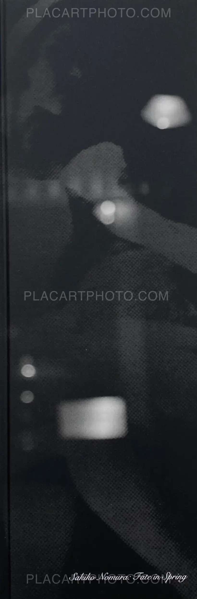 Sakiko Nomura – Fate in Spring (Signed copy)