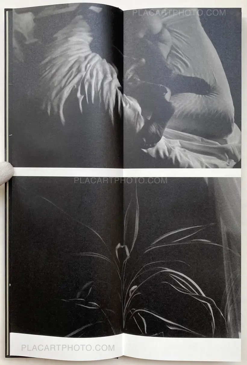 Sakiko Nomura – Fate in Spring (Signed copy)