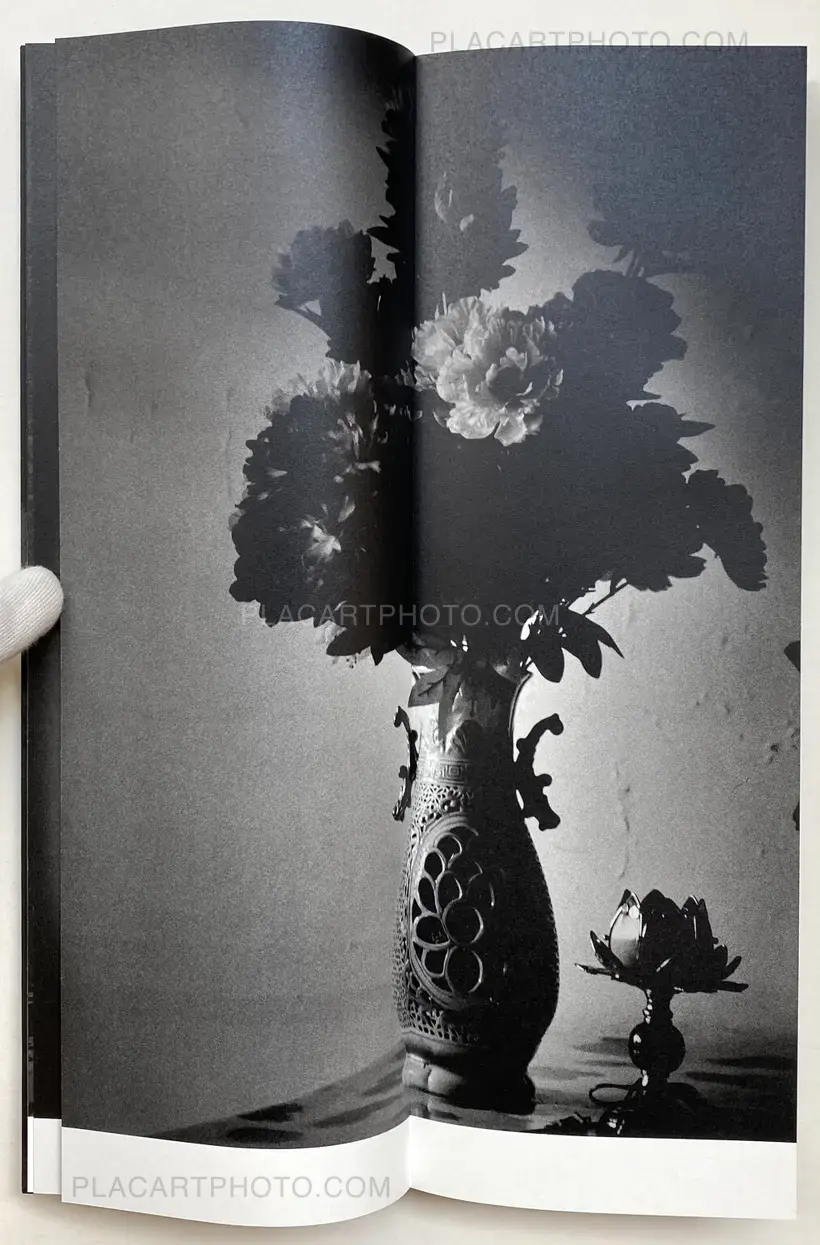 Sakiko Nomura – Fate in Spring (Signed copy)