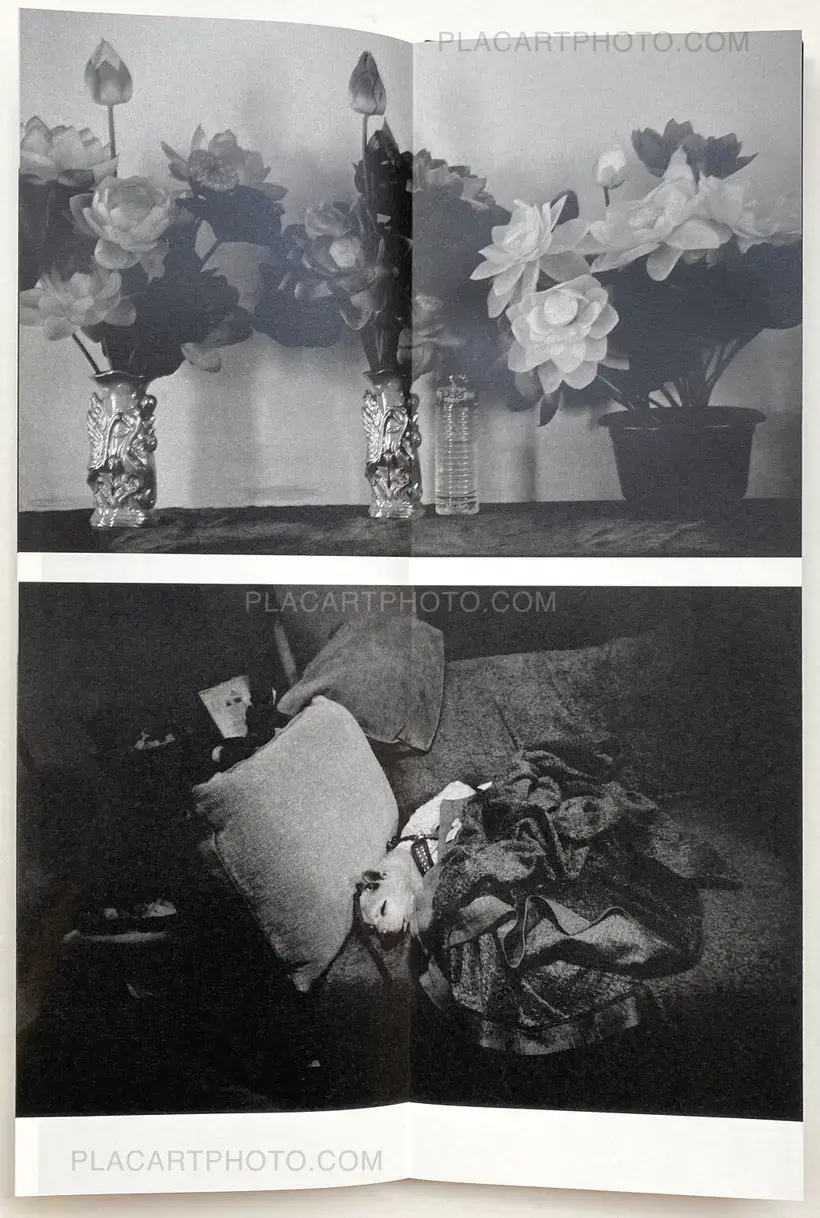Sakiko Nomura – Fate in Spring (Signed copy)