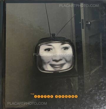 Lee Friedlander,The little screens 