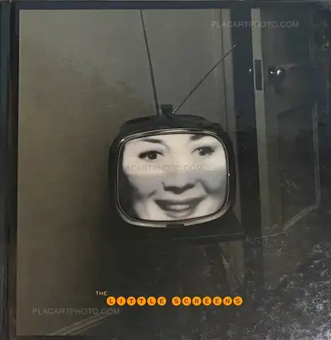 Lee Friedlander – The little screens 