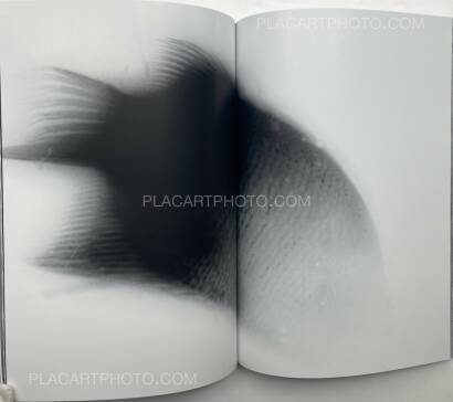 Takamoto Yamauchi,Vortex Takamoto Yamauchi,Vortex