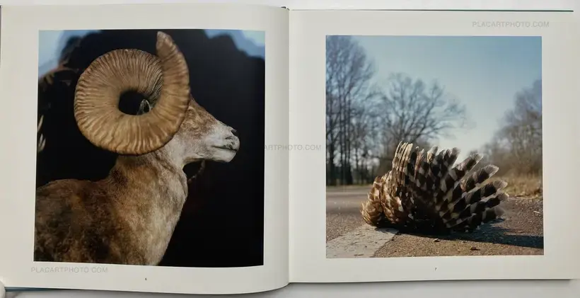 Ronan Guillou – Country Limit (SIGNED)