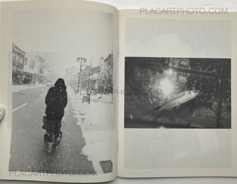 Juergen Teller – ed in japan: the juergen teller book: purple / janvier