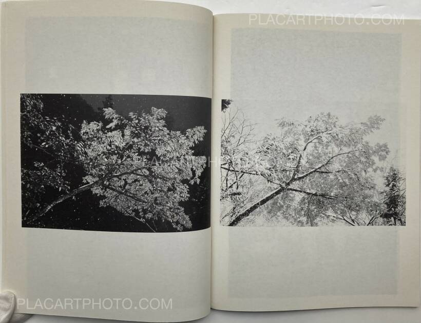 Juergen Teller – ed in japan: the juergen teller book: purple / janvier