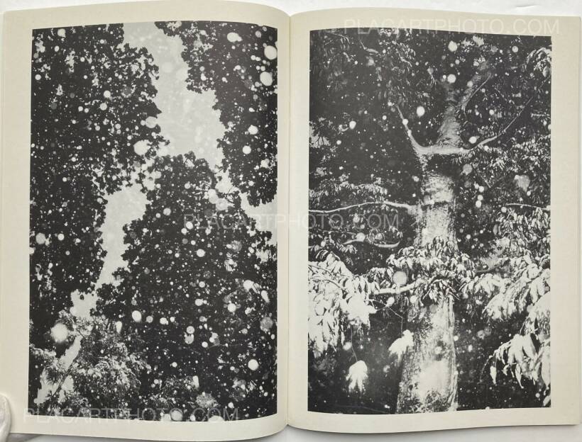 Juergen Teller – ed in japan: the juergen teller book: purple / janvier