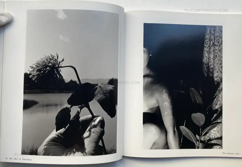 Kyoko Uchida – Dark Light (SIGNED, WITH OBI)