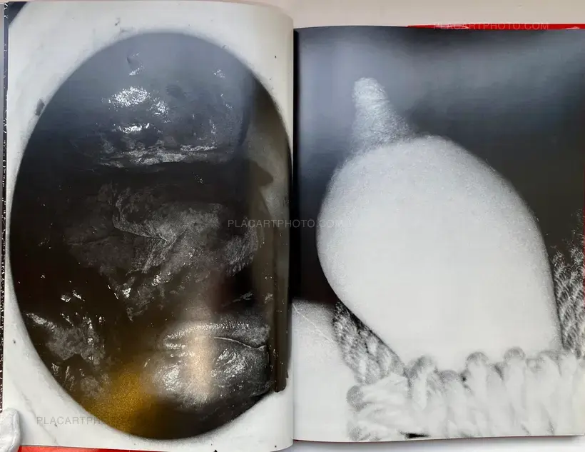 Nobuyoshi Araki – Erotos (WITH OBI)