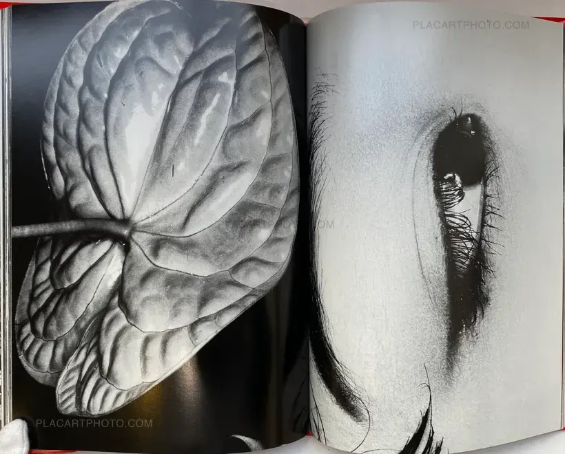 Nobuyoshi Araki – Erotos (WITH OBI)