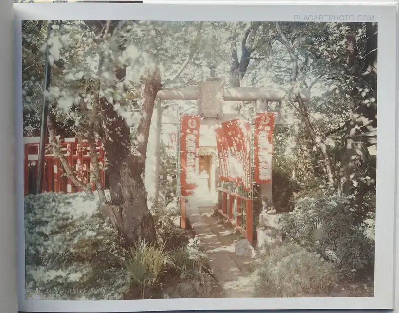 Risaku Suzuki – Torii