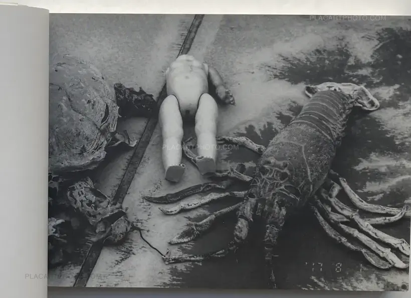 Nobuyoshi Araki – Last August (SIGNED)