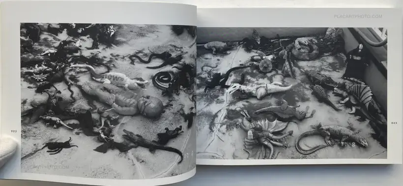 Nobuyoshi Araki – Last August (SIGNED)