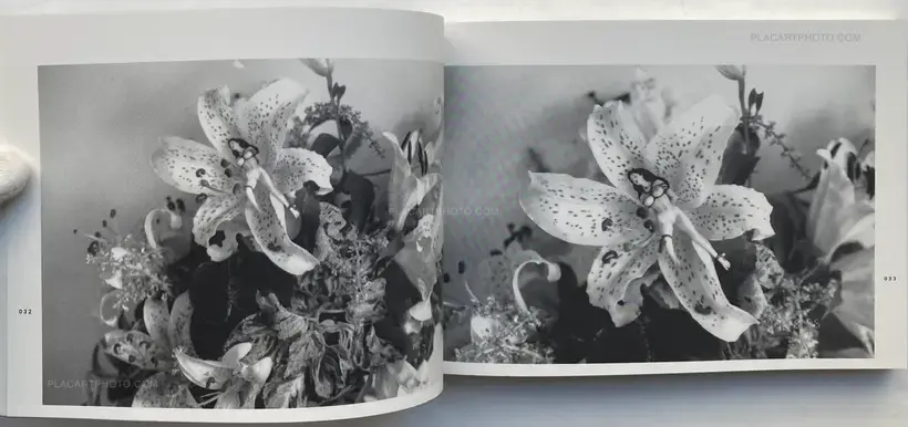 Nobuyoshi Araki – Last August (SIGNED)