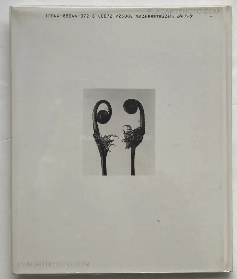 Nobuyoshi Araki – Kain (Shadows of Flowers)