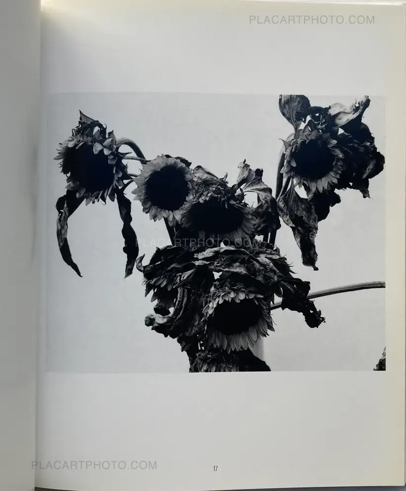 Nobuyoshi Araki – Kain (Shadows of Flowers)