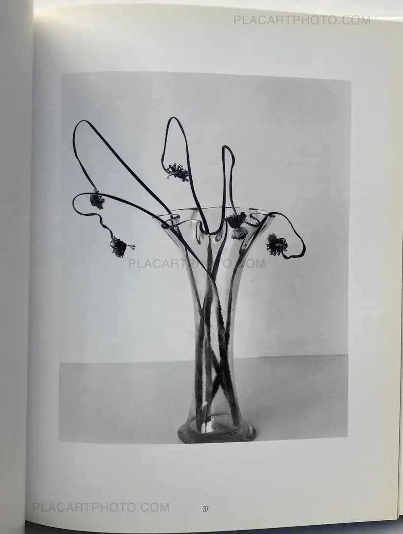 Nobuyoshi Araki – Kain (Shadows of Flowers)