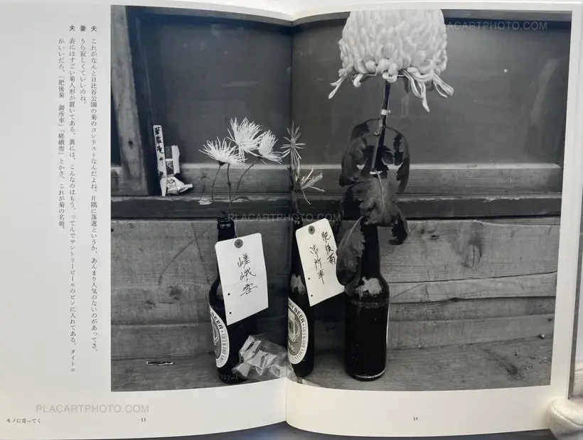 Nobuyoshi Araki – Tokyo, in Autumn