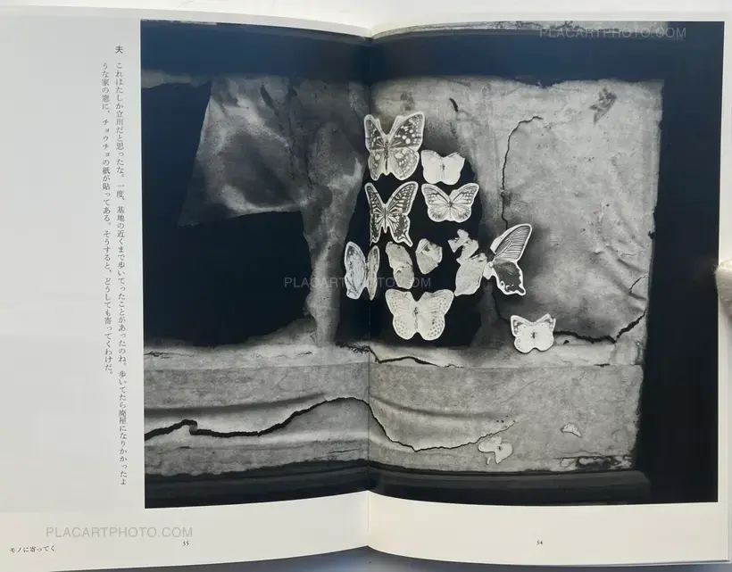 Nobuyoshi Araki – Tokyo, in Autumn
