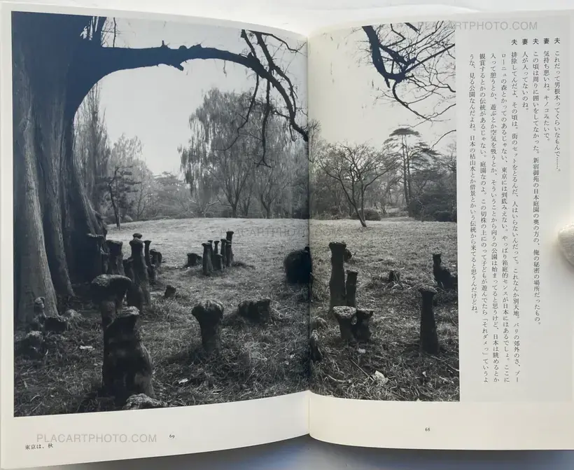Nobuyoshi Araki – Tokyo, in Autumn