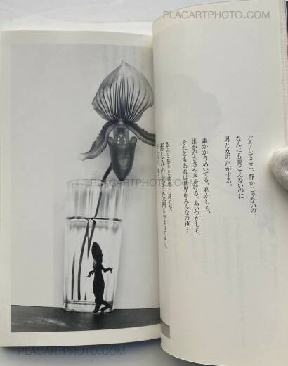 Nobuyoshi Araki,Yasashisa wa Ai Ja Nai (Kindness Isn't Love)