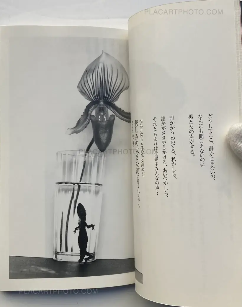 Nobuyoshi Araki – Yasashisa wa Ai Ja Nai (Kindness Isn't Love)