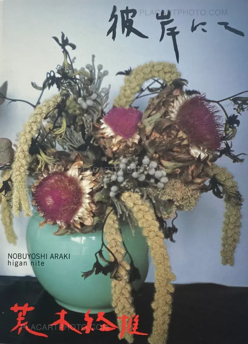 Nobuyoshi Araki – higan nite (on the other side)