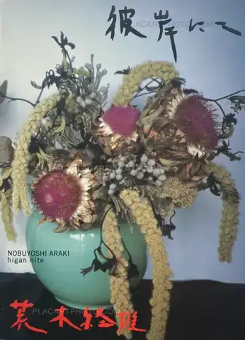 Nobuyoshi Araki – higan nite (on the other side)
