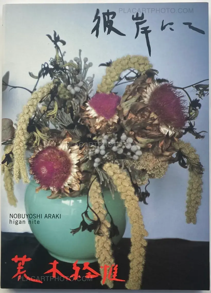 Nobuyoshi Araki – higan nite (on the other side)