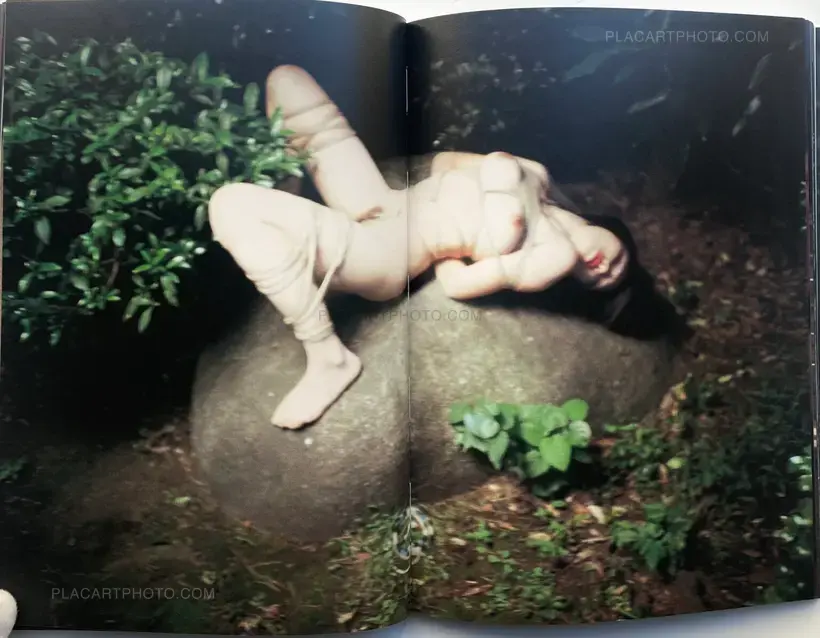 Nobuyoshi Araki – higan nite (on the other side)