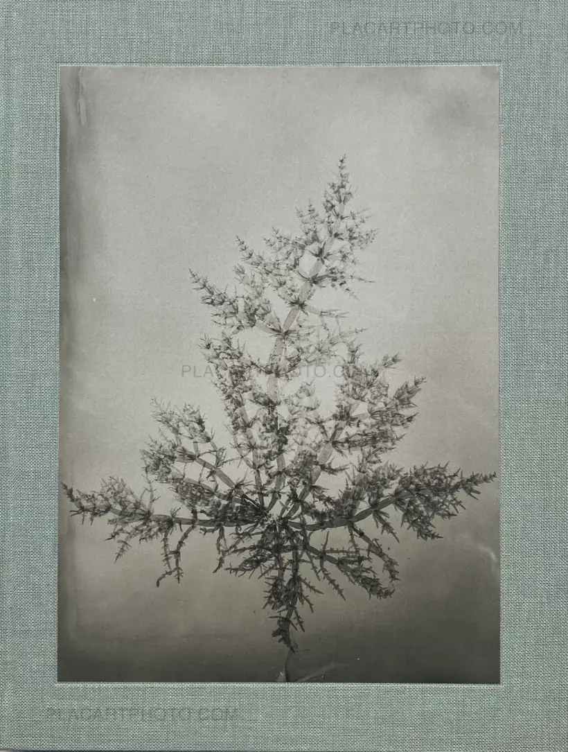 Steffen Diemer – Wakame (LTD EDT)