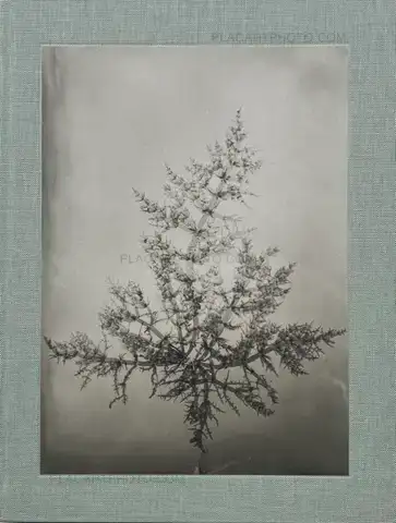 Steffen Diemer – Wakame (LTD EDT)