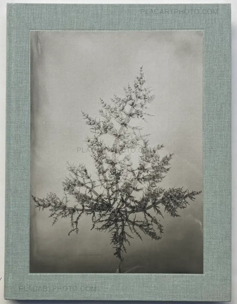 Steffen Diemer – Wakame (LTD EDT)