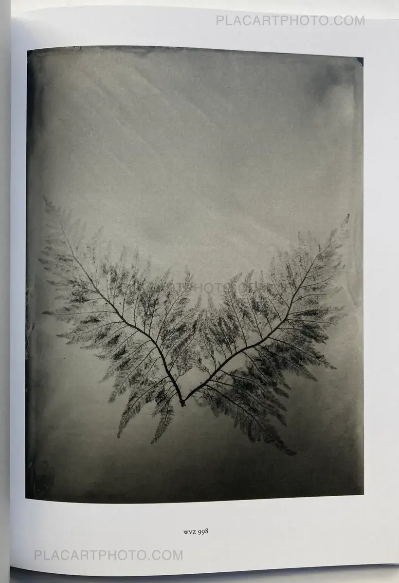 Steffen Diemer – Wakame (LTD EDT)
