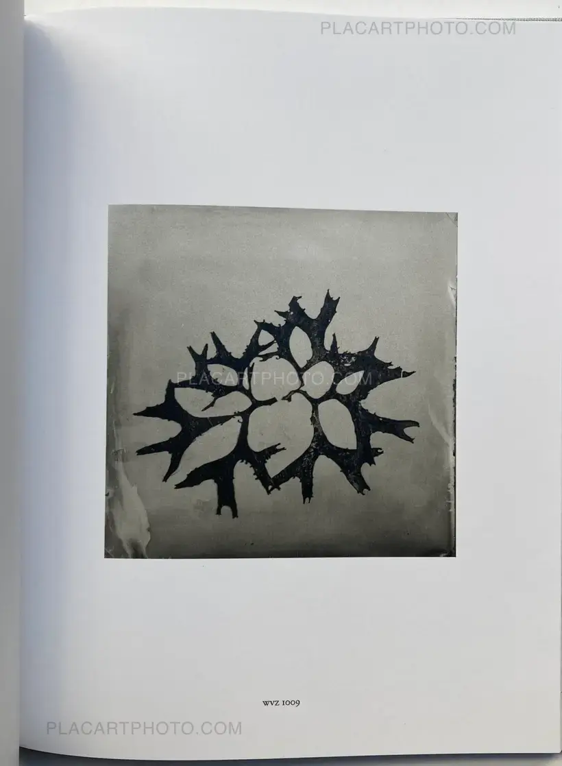 Steffen Diemer – Wakame (LTD EDT)