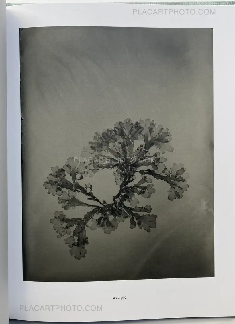 Steffen Diemer – Wakame (LTD EDT)