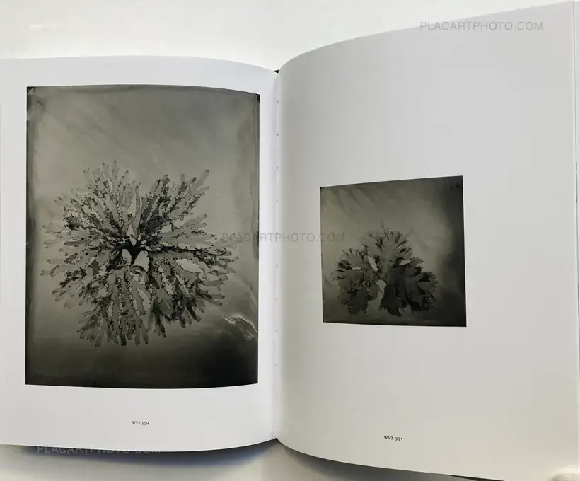 Steffen Diemer – Wakame (LTD EDT)