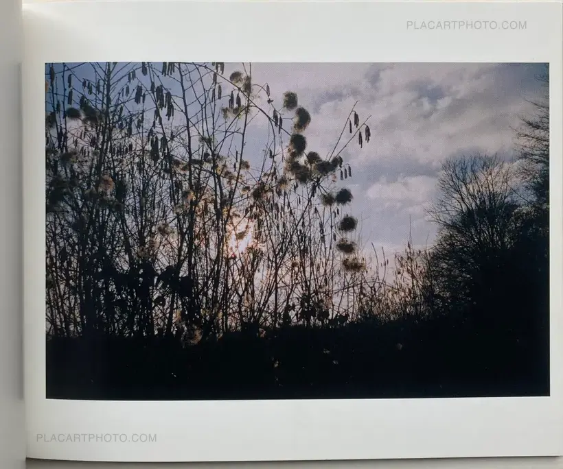 Sofia Coppola – Some pictures from this past year