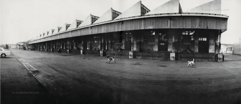 Masahisa Fukase – Homo Ludens