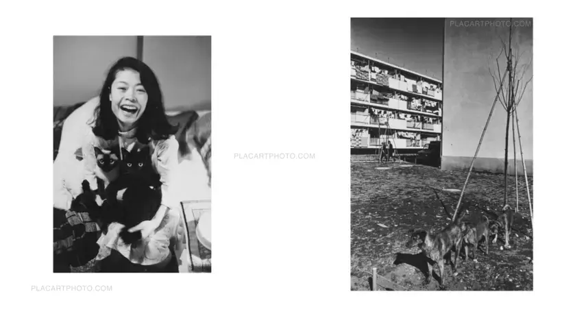 Masahisa Fukase – Yoko