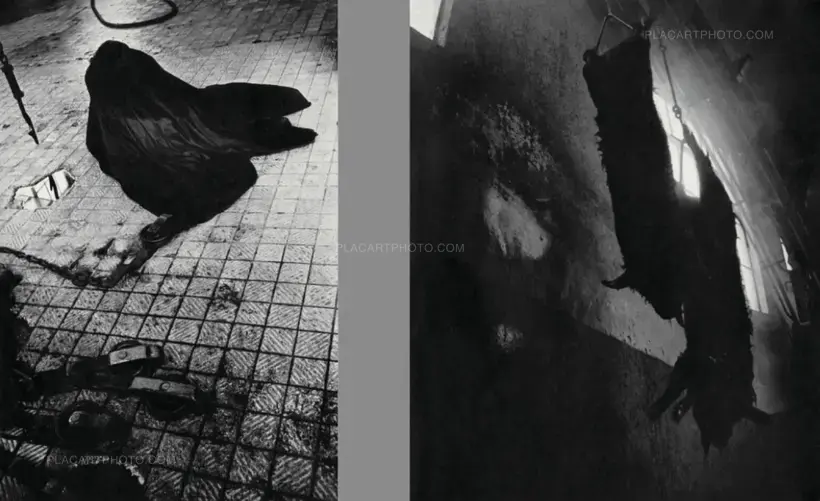 Masahisa Fukase – SPECIAL OFFER : YOKO + HOMO LUDENS (PRE-ORDER)