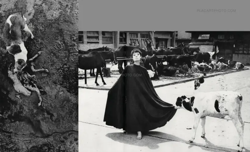 Masahisa Fukase – SPECIAL OFFER : YOKO + HOMO LUDENS (PRE-ORDER)
